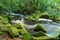 The River Fowey at Golitha Falls