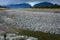 River from Fox glacier with rock foreground