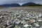 River from Fox glacier with rock foreground