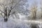 River, frost, winter, snow, fog, trees, cold