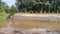 A river with gabion walls  in kluang, johor