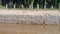 A river with gabion walls  in kluang, johor