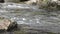 River Glaslyn near Beddgelert