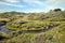 River going trough windswept coastal forest