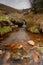 River of Gold, Dartmoor national park