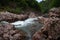 River in granite canyon in forest