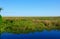 River of Grass Everglades National Park Florida