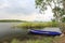 River grass and Rowing