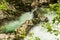 River in green forest in Canyon Vintgar, Triglav