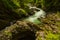 River in green forest in Canyon Vintgar, Triglav