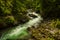 River in green forest in Canyon Vintgar, Triglav