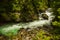 River in green forest in Canyon Vintgar, Triglav