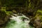 River in green forest in Canyon Vintgar, Triglav