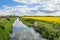 River, green meadow and yellow rapeseed field. Beautiful spring landscape in Poland