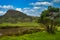 A river and green meadows on a hill in Northland, New Zealand
