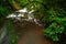 River in green tropic forest. La Paz Waterfall gardens, with green tropical forest in Costa Rica. Mountain tropic forest with rive