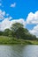 The river heron sits on a tall tree on the bank of the river against a background of green vegetation, blue sky and white clouds.