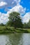 The river heron sits on a tall tree on the bank of the river against a background of green vegetation, blue sky and white clouds.