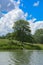 The river heron sits on a tall tree on the bank of the river against a background of green vegetation, blue sky and white clouds.