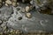 River and huge stones at Tianxiang recreation area in Xiulin township, Taiwan.