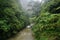 River in jungle hike in Bali Indonesia very green plants and waterfall