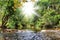 River in jungle, Thailand