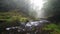 River Kamenice in autumn, Bohemian Switzerland