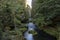 River Kamenice National Park Bohemia Switzerland