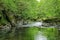 The River Kent passing through woodland near Kendal