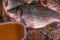 River, lake raw fish in scales carp, crucian