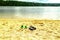 River, lake shore, sandy beach on forest natural background, summer nature vacation holiday concept
