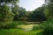 River, land with trees and blue sky