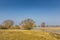 River landscape along Dutch river Maas with floodplain forests of willow trees in flooded water meadows