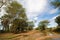 River Landscape in Tsavo National Park