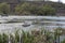 River with large granite stones. Steppe. Nature