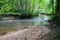 The river Lauter in Alsace France with trees, wood