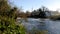 River Leam in winter - Pump Room / Jephson Gardens, Royal Leamington Spa