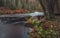 A river in the Lendulovskaya Grove nature reserve in the Leningrad Region