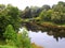 River Lielupe and beautiful trees, Latvia