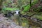 River Lyd, Lydford Gorge, Lydford, Dartmoor, Devon, England