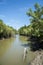 River in the mangrove at Can Gio`s Monkey Island, south Vietnam