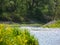 River meander with trees in spring