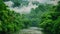 A river meandering through dense foliage and vibrant greenery in a serene forest setting, Picture of a river in the middle of a