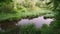 River and mountain forest. Calm green park.