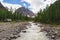 River in the mountains. landscape.