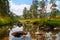 River on mt. Zlatibor