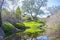 River Muelas backwaters, Cornalvo Natural Park, Extremadura, Spain