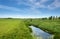 A river, a narrow stream flowing through a field with green grass.