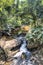 River near Wli waterfall in the Volta Region in Ghana