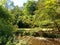 River Nette in the forest on hiking-trail Nette-Romantikpfad near Ochtendung in the german region eifel